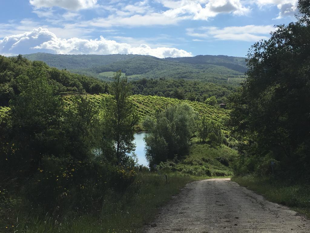 Podere Terreno Alla Via Della Volpaia Рада ин Шанти Экстерьер фото