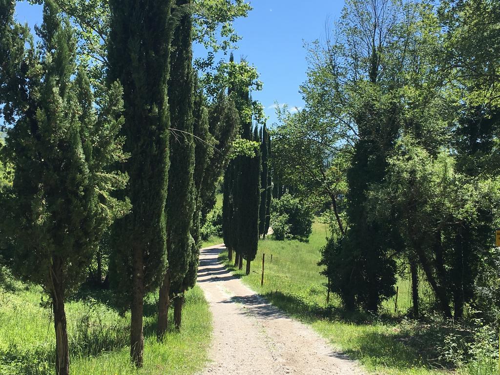 Podere Terreno Alla Via Della Volpaia Рада ин Шанти Экстерьер фото