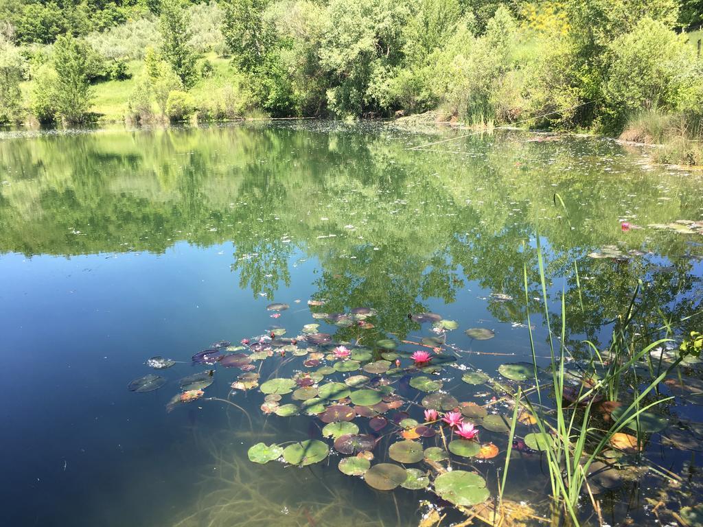 Podere Terreno Alla Via Della Volpaia Рада ин Шанти Экстерьер фото