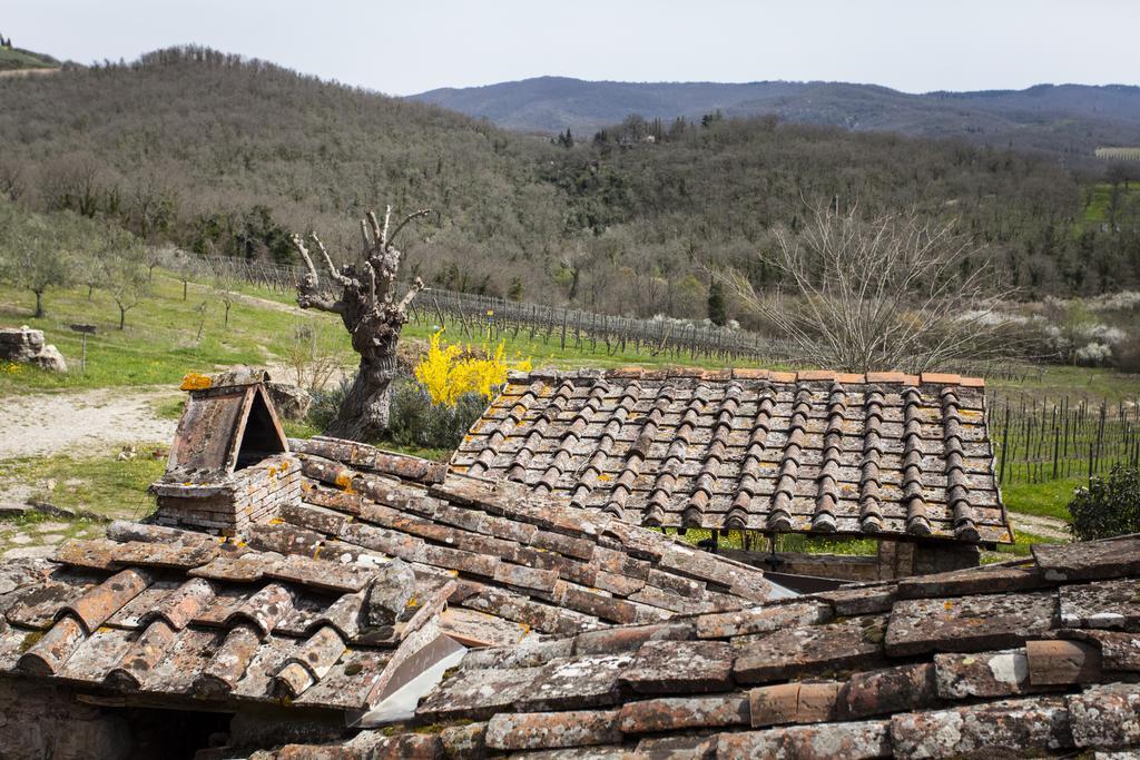 Podere Terreno Alla Via Della Volpaia Рада ин Шанти Экстерьер фото