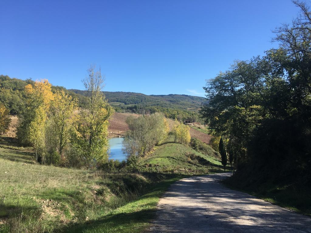 Podere Terreno Alla Via Della Volpaia Рада ин Шанти Экстерьер фото